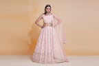 A woman modeling a light pink traditional Indian outfit with a heavily embroidered sleeveless crop top, matching flared skirt, and sheer dupatta against a warm beige studio background. A small label reading 'D.