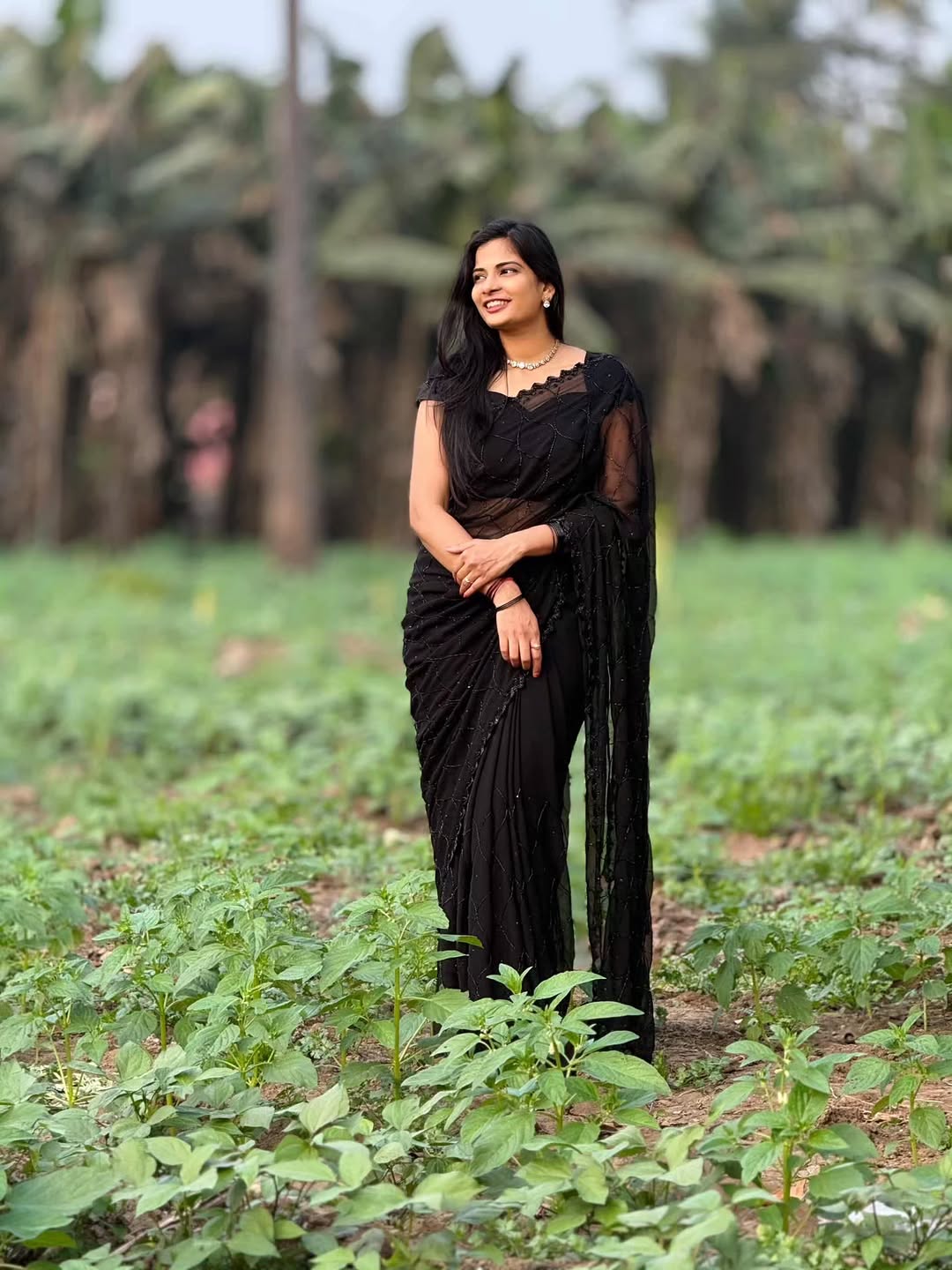 Beaded Georgette Saree with Embroidered Border Blouse